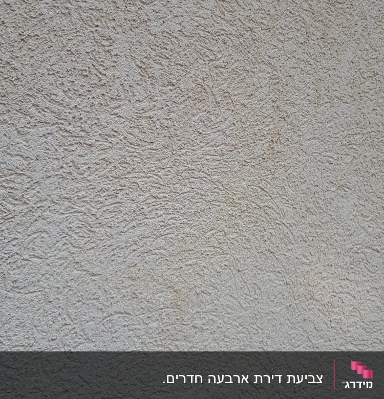 קיר טיח מחוספס בצבע בז